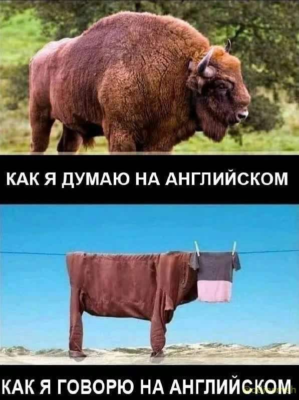 35 г _ _1 _ддщ КАК Я ДУМАЮ НА АНГЛИЙСКОМ КАК Я ГОВОРЮ НА АНГЛИЙСКОМ