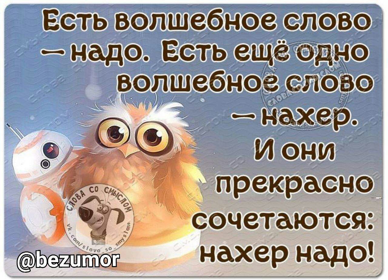 Есть волшебное слово надо Есть ещё одно волшебное слово Нахер И они __ прекрасно _ Сочетаются нахер надо