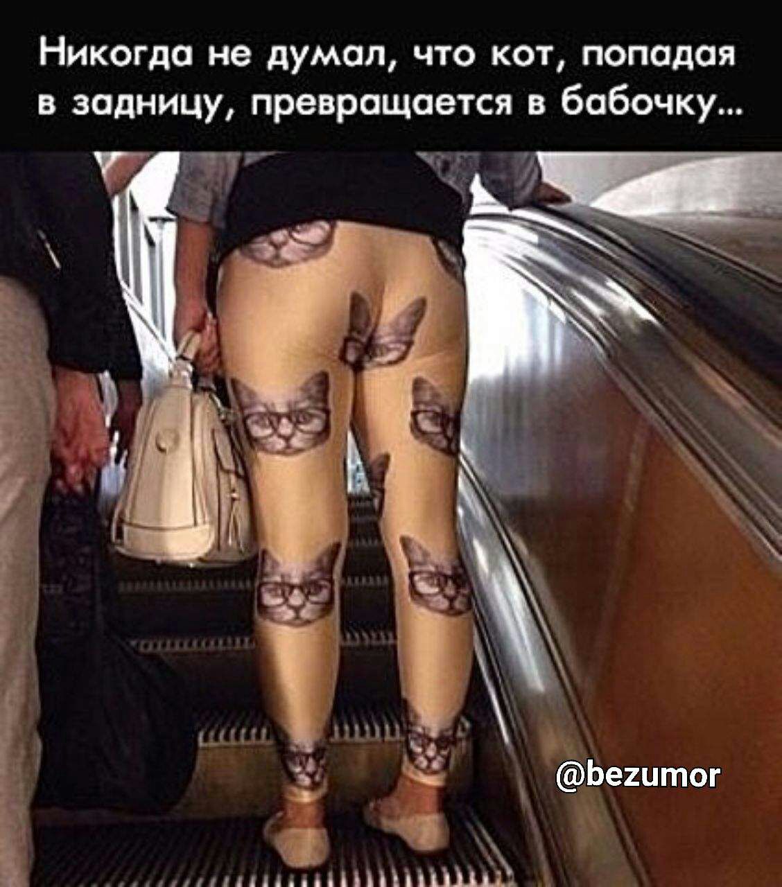Никогда не думал что кот попадая в задницу превращается в бабочку