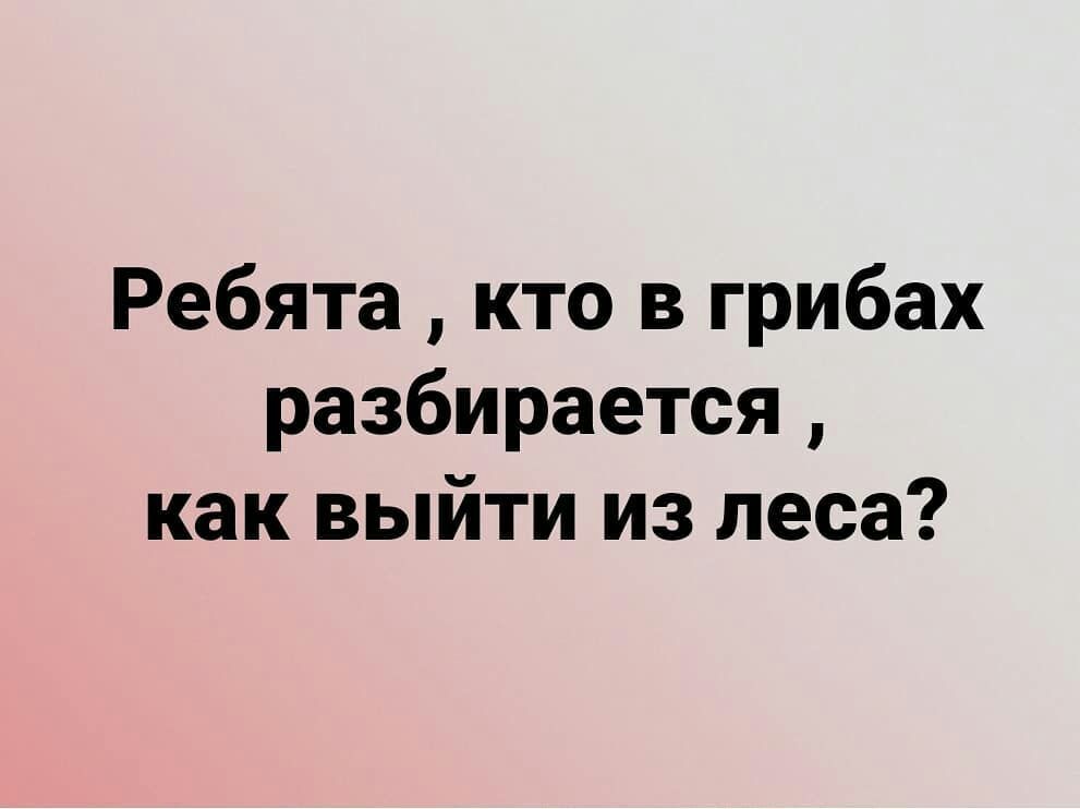 Ребята кто в грибах разбирается как выйти из леса