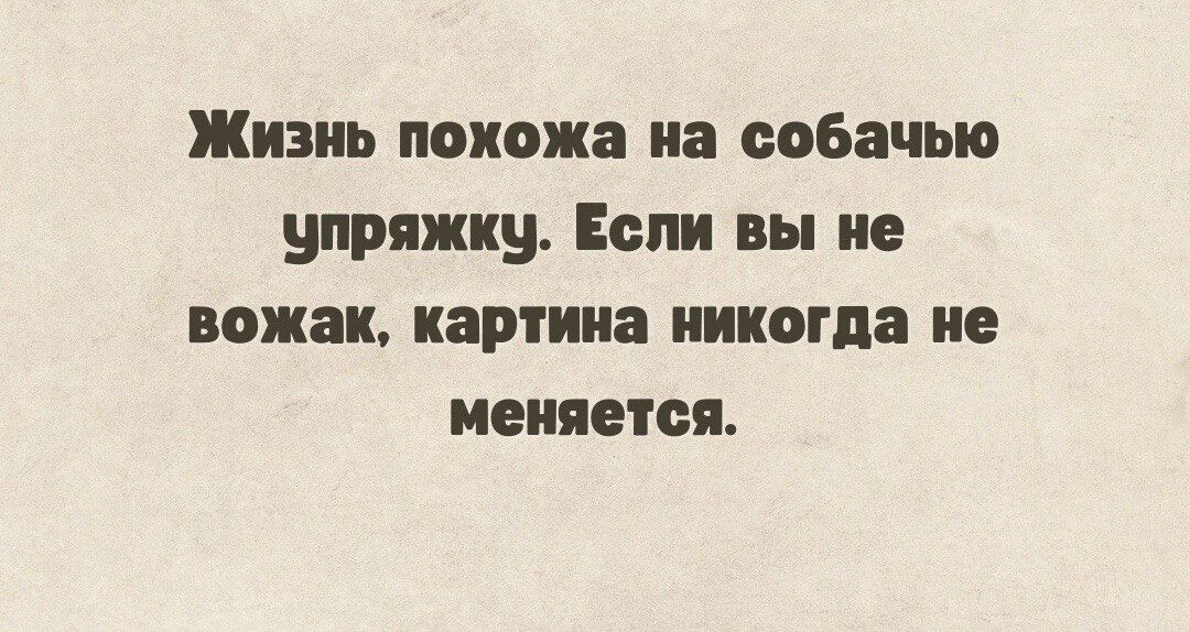 Жизнь похожа на собачью упряжку Если вы не вожак картина никогда не меняется