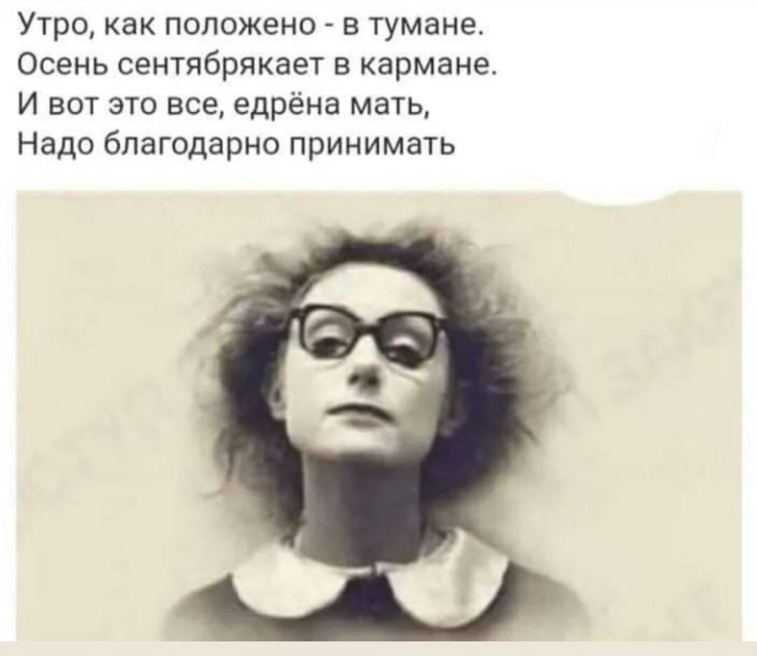 Утро как положено в тумане Осень сентябрякает в кармане и вот это все едрена мать Надо благодарно принимать
