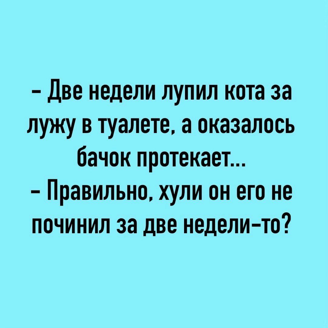 Две недели лупил кота за лужу в туалете а оказалось бачок протекает Правильно хули он его не починил за две недели то