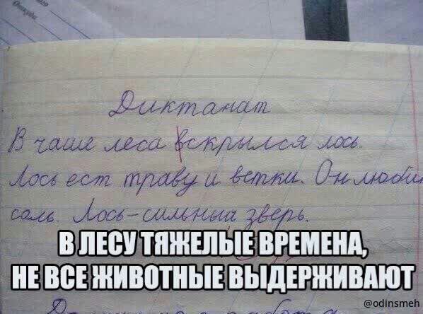 МГЛЦ 7 1 71 мы мы а и вы трлдуи шими ИА 1ш ШШШ 1 315 і1підшъ іюдГЦЩ ю_ _ А АД битыми