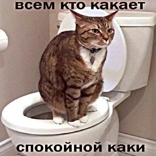 спокойной каки