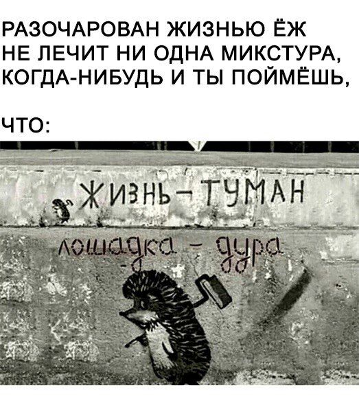 РАЗОЧАРОВАН ЖИЗНЬЮ ЁЖ НЕ ЛЕЧИТ НИ ОДНА МИКСТУРА КОГДА НИБУДЬ И ТЫ ПОЙМЁШЬ ЧТО