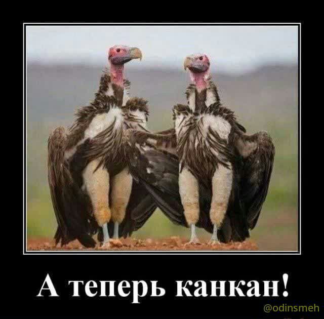 А теперь капкан