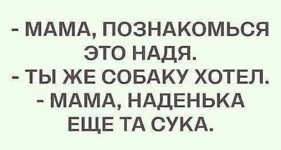 МАМА ПОЗНАКОМЬСЯ ЭТО НАДЯ ТЬ ЖЕ СОБАКУ ХОТЕЛ МАМА НАДЕНЬКА ЕЩЕ ТА СУКА