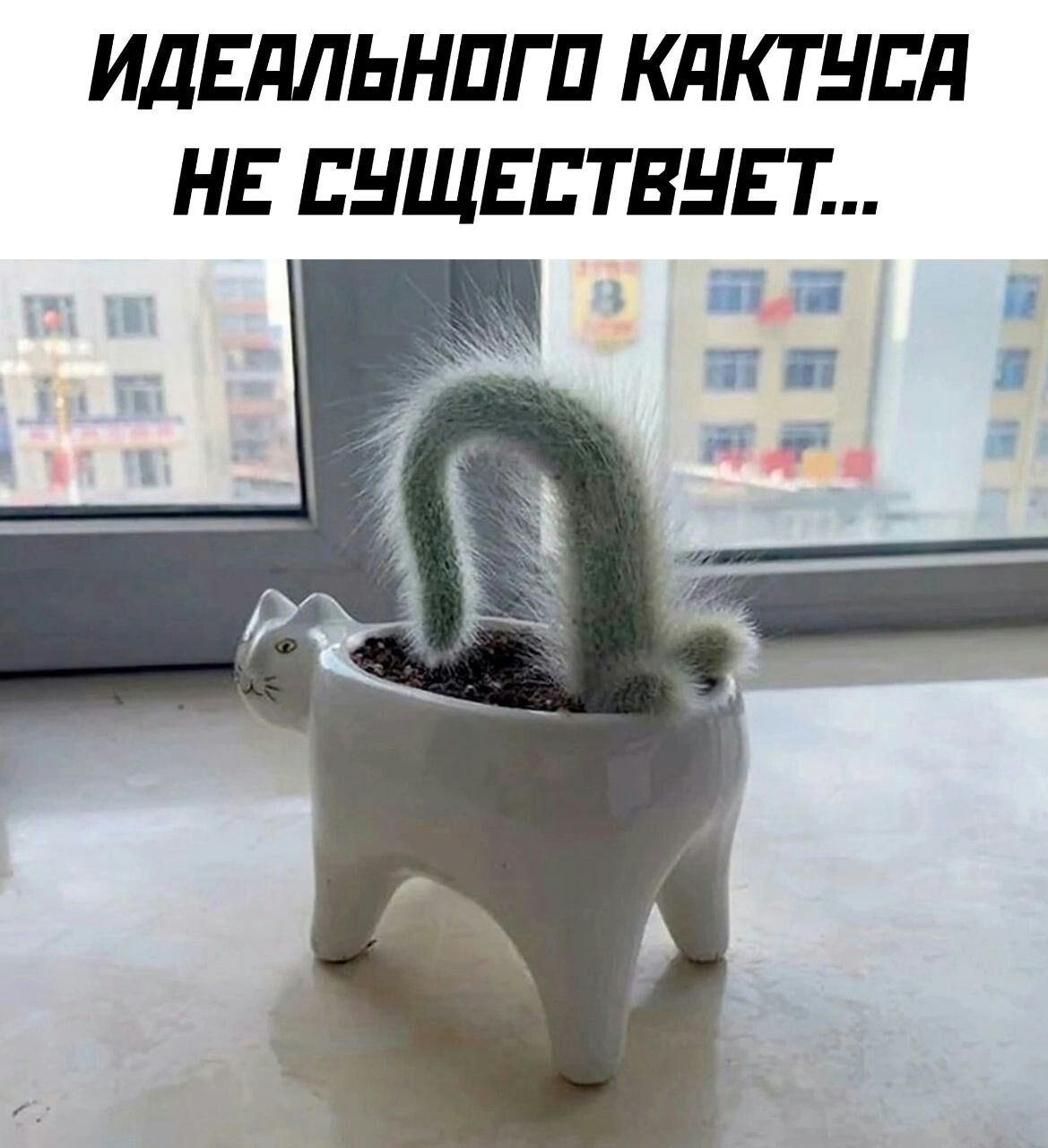 ИдЕдЛЬНПГП КдКТНЕд НЕ ЕНЩЕЕТЕНЕТ