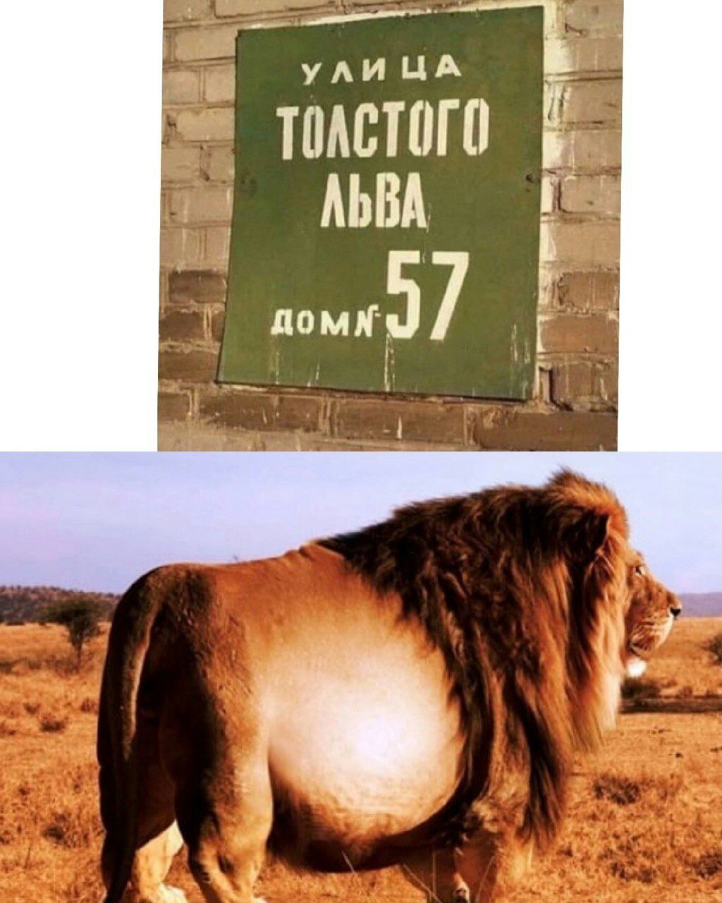 77411 тидстпгп дым 57 1