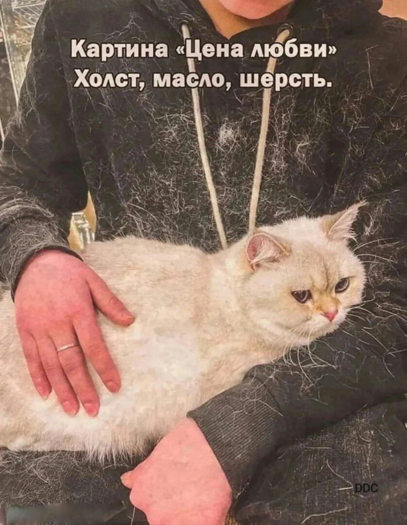 Картина Цена любви Холст масло шерсть