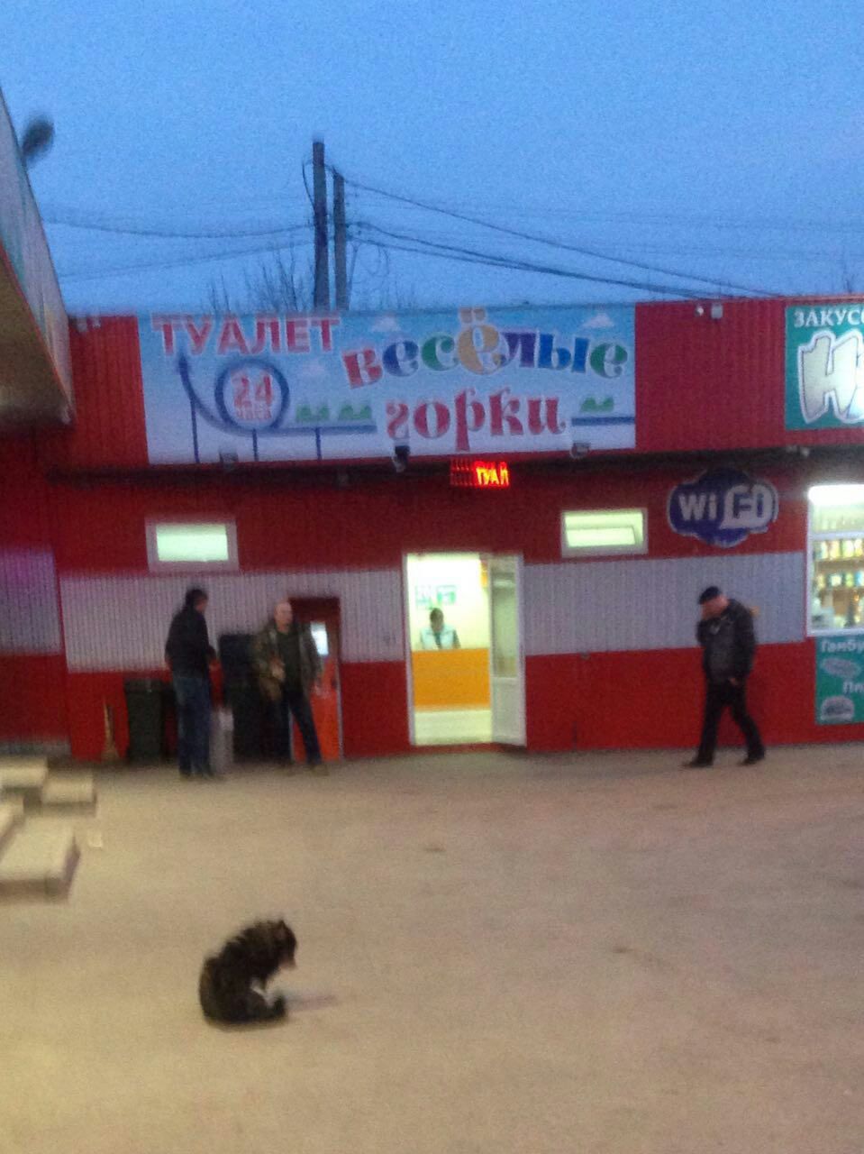 1 ТУ АЛЕ іг лы