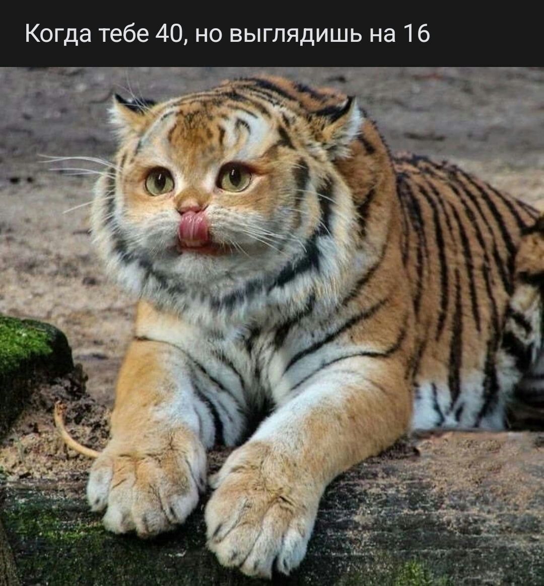 Когда тебе 40 но выглядишь на 16 д _ _