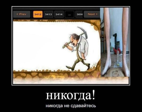 никогда икогда не сд