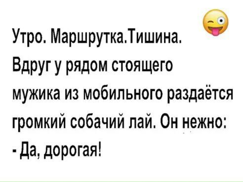 Утро МаршруткаТишина Вдругу рядом стоящего мужика из мобильного раздаётся громкий собачий пай Он нежно да дорогая