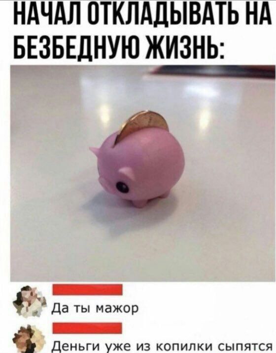 НАЧАЛ ОТКЛАДЫВАТЬ НА БЕЗБЕДНУЮ ЖИЗНЬ й _ да ты мажор _ деньги уже из копилки сыпятся