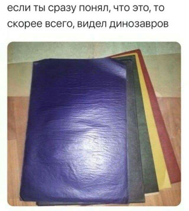 ЕСЛИ ТЫ сразу ПОНЯЛ ЧТО ЭТО ТО скорее ВСЕГО видел ДИНОЭЭВРОВ