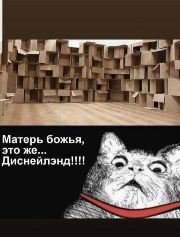 Матерь божья это же ДиснеилэндНП