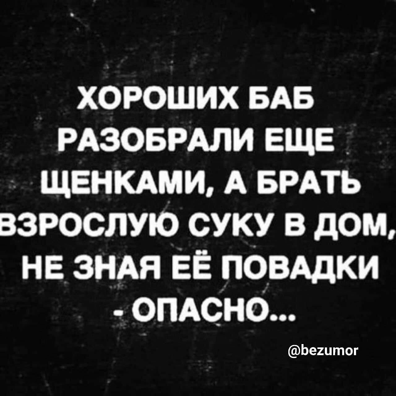 ХОРОШИХ БАБ РАЗОБРАЛИ ЕЩЕ _ ЩЕНКАМИ А БРАТЬ ВЗРОСЛУЮ СУКУ В дОМ НЕ ЗНАЯ ЕЁ ПОВАДКИ ОПАСНО Ьешгпог