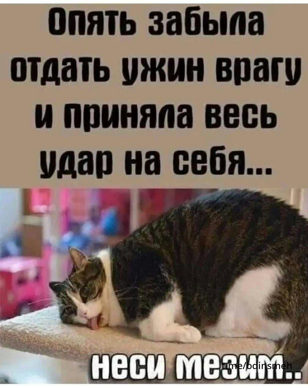ПЯТЬ забыла отдать ужин впаш приняла ВЕСЬ да на себя _