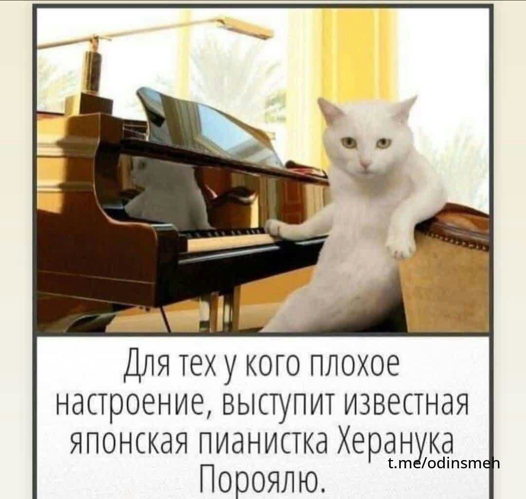 Для теху кого плохое настроение высопит известная японская пианистка Херанука Пороялю _о1п5т