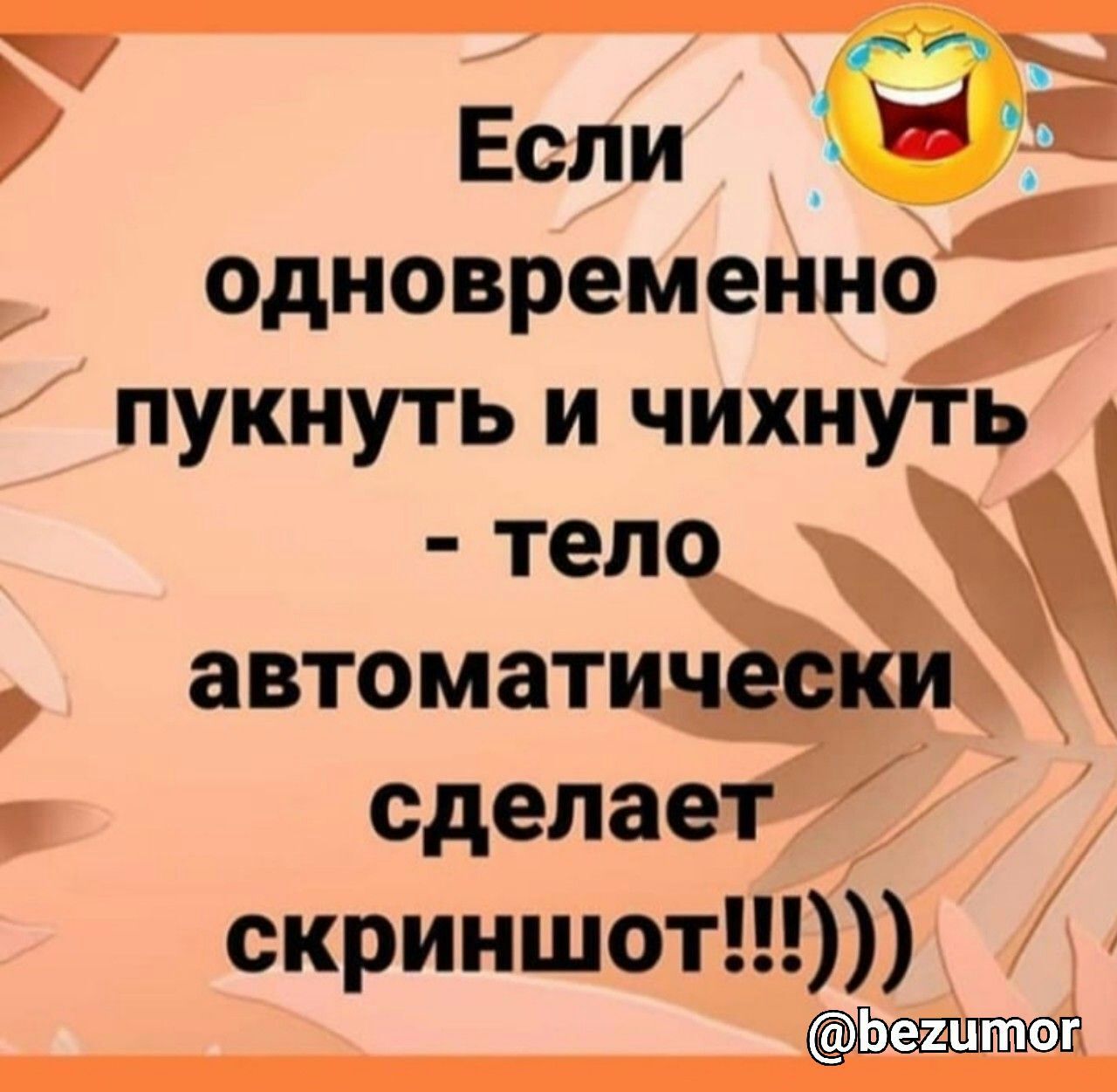 ч К Если Ё Ё одновременно пукнуть и чихнутьдч тело автоматически сделает скриншот