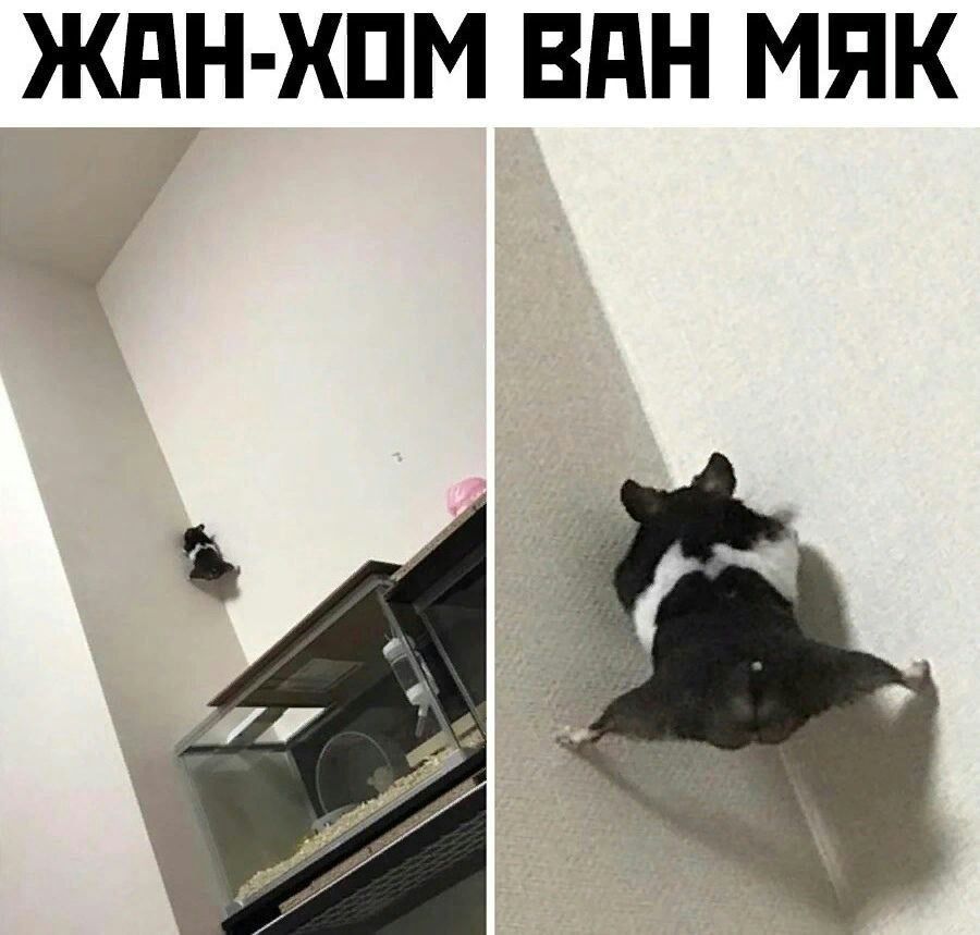 ЖдН ХПМ ВПН МПК