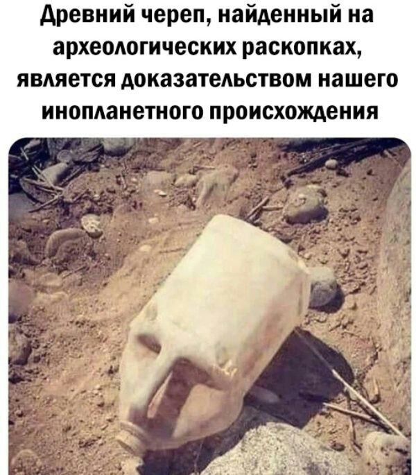древний череп найденный на археоютических раскопках является доказательством нашего инопданетного происхождения