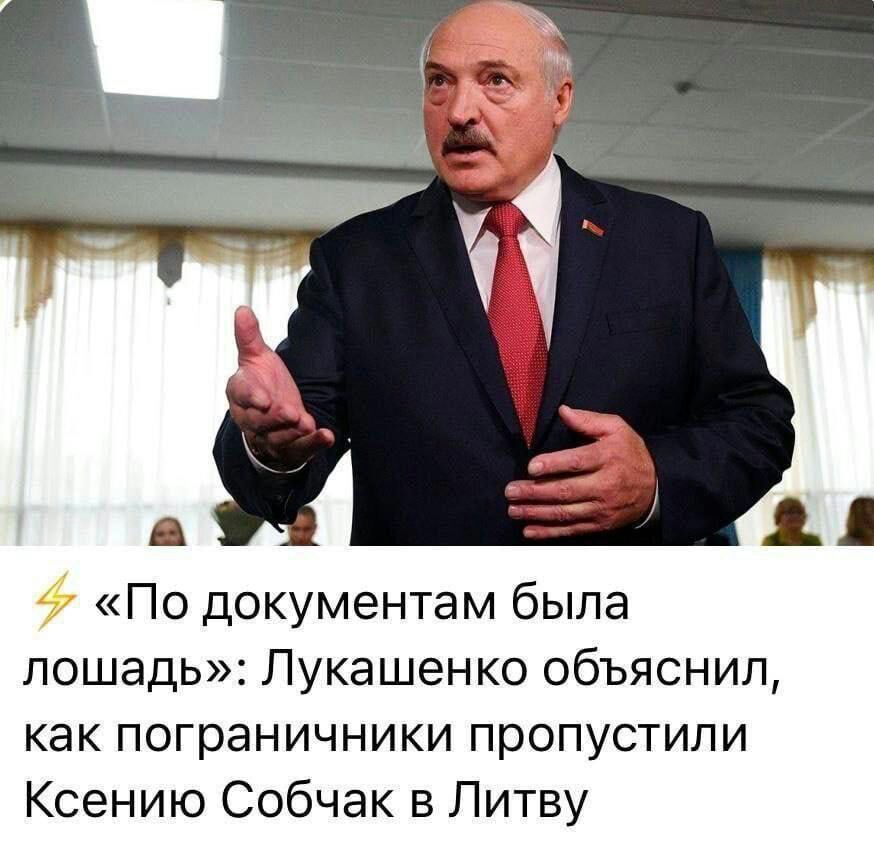 По документам была лошадь Лукашенко объяснил как пограничники пропустили Ксению Собчак в Литву