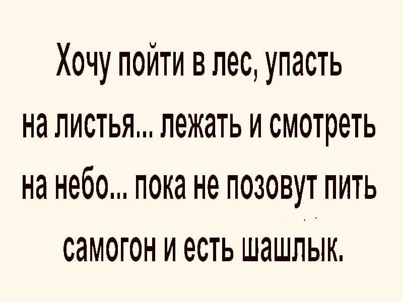 Хочу пойти впес упасть на листья лежать и смотреть на небо пока не позовут пить самогон и есть шашлык