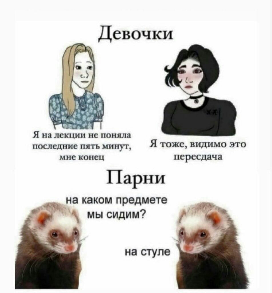 Я и лекции и пипл ш и п я те шлимо и псрссдач Парни на каком предмете мы сидим на стуле