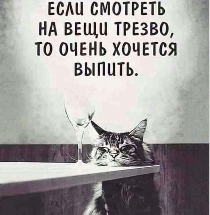 Ё ЕСШ СМОТРЕТЬ НА ВЕЩИ ТРЕЗВО ТО ОЧЕНЬ ХОЧЕТСЯ ВЫПЦТЬ