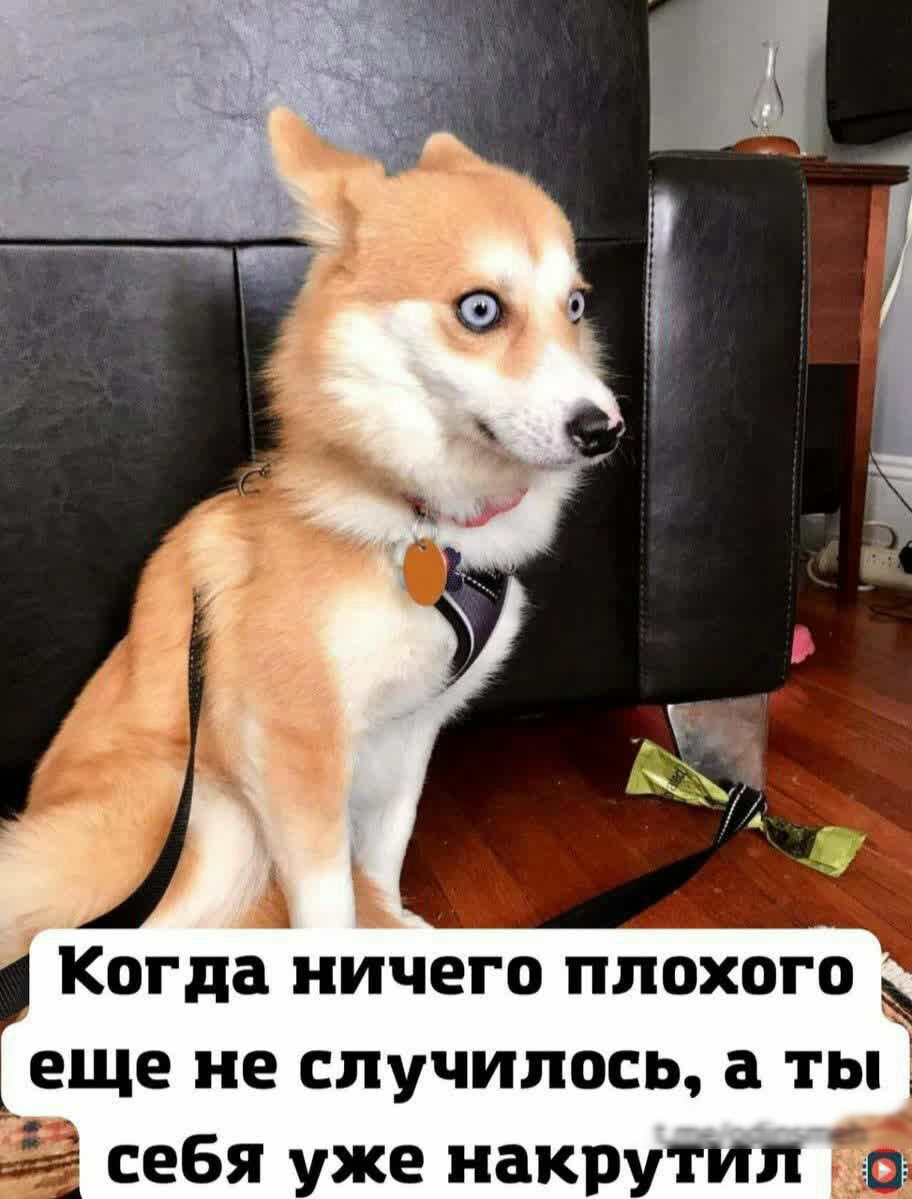 і Когда ничего плохого _ еще не случилось а ты 3 себя уже накрііЙЙЪ