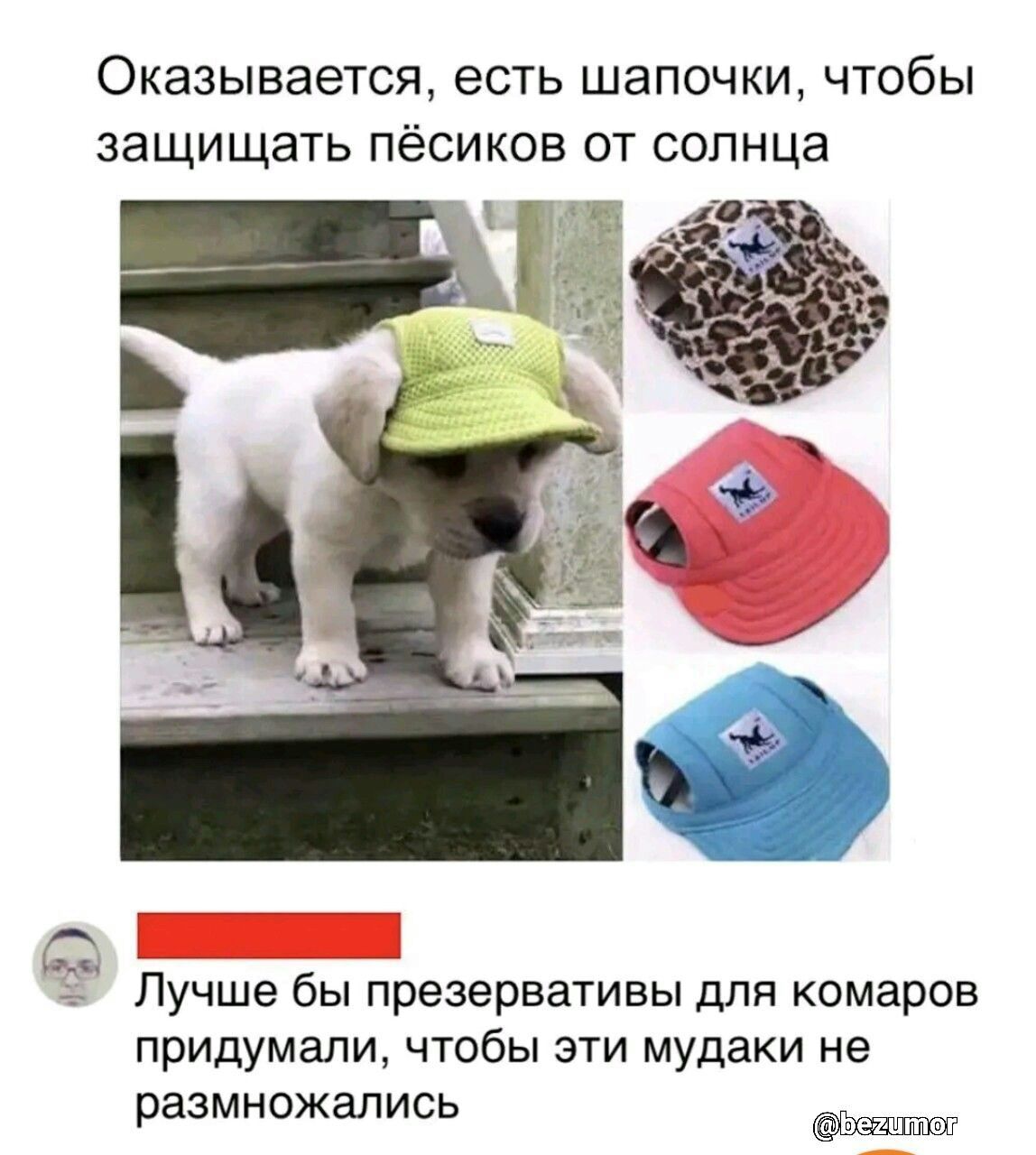 Оказывается есть шапочки чтобы защищать пёсиков от солнца Лучше бы презервативы для кемаров придумали чтобы эти мудаки не размножались Юішпт
