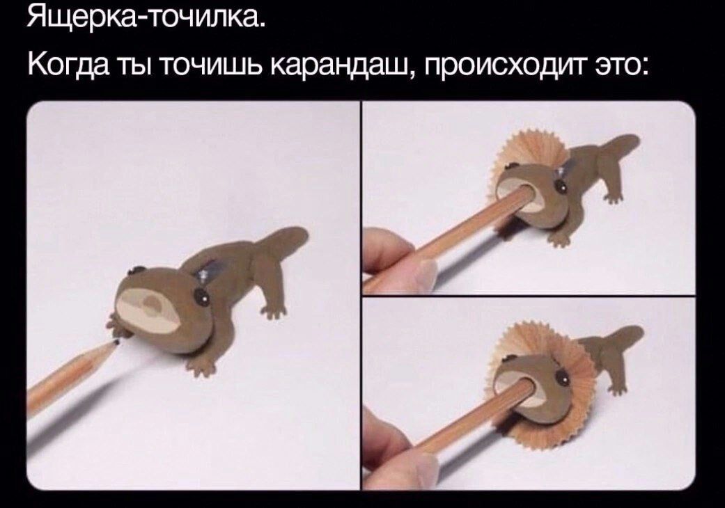 Ящерка точилка Когда ты точишь карандаш происходит это