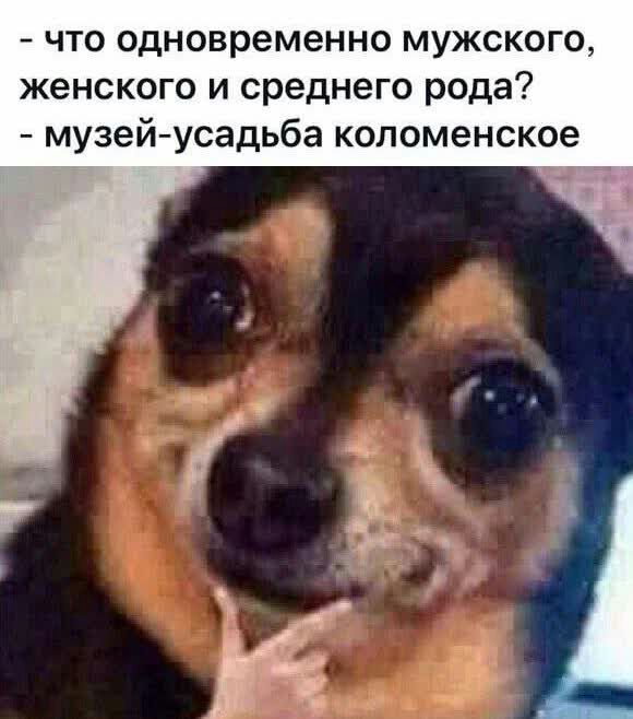 что одновременно мужского женского и среднего рода музей усадьба копоменское