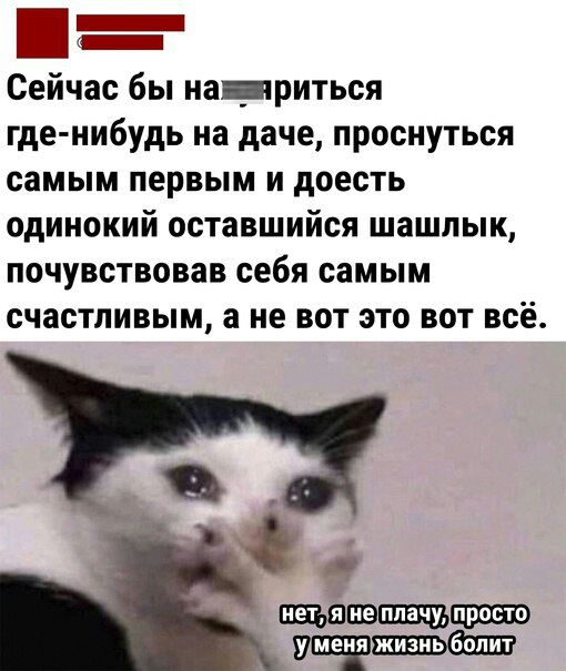 Сейчас бы натриться где нибудь на даче проснуться самым первым и доесть одинокий оставшийся шашлык почувствовав себя самым счастливым не вот это вот всё Щ