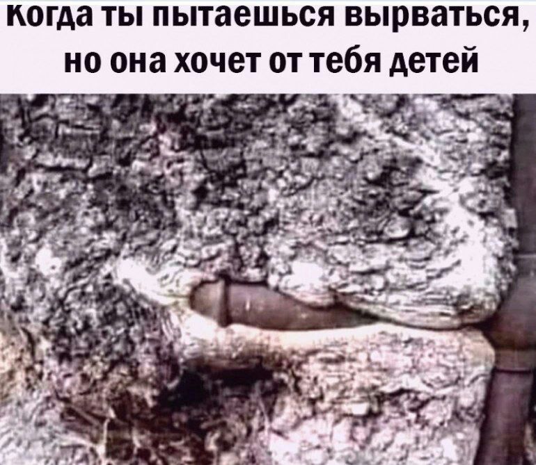 когда ТЫ пытаешься ВЫПВЗТЬСЯ НО она ХОЧЕТ ОТ тебя АВТЕЙ