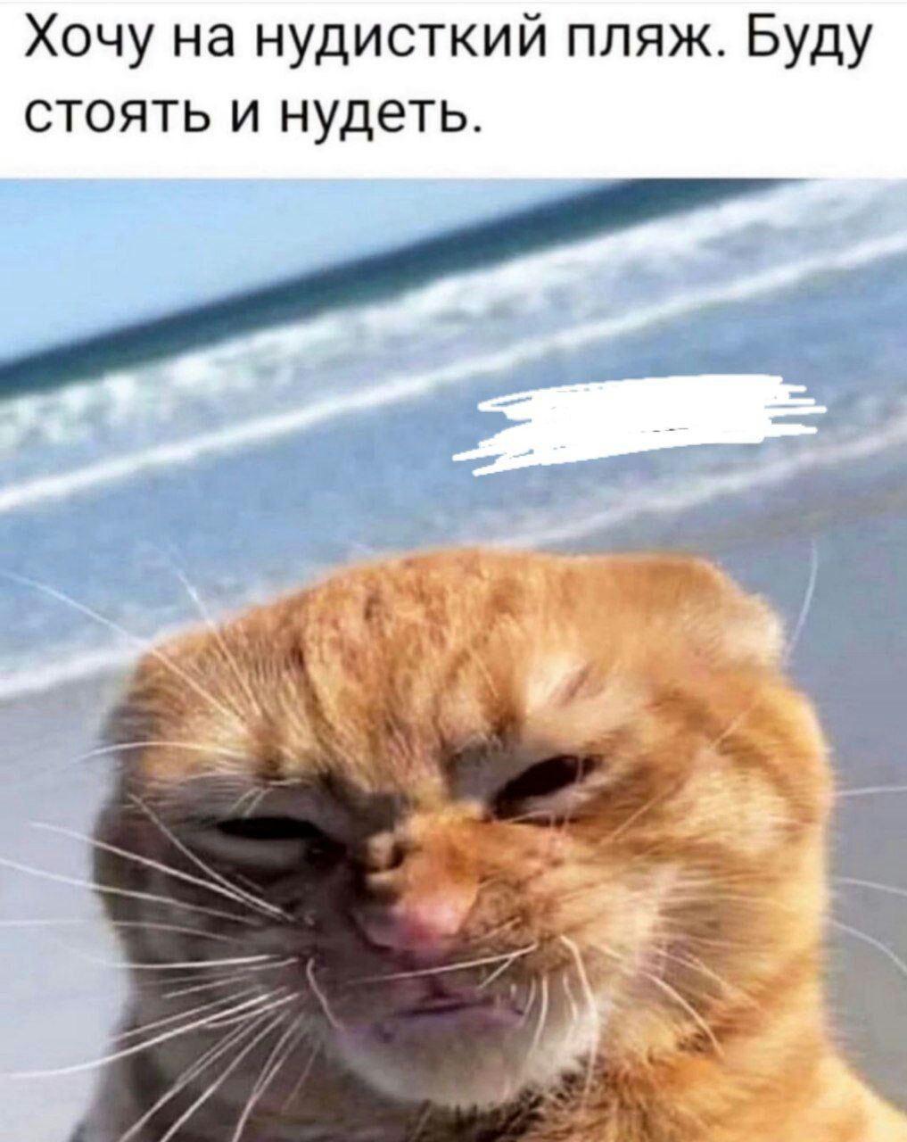 Хочу на нудисткий пляж Буду стоять и нудеть
