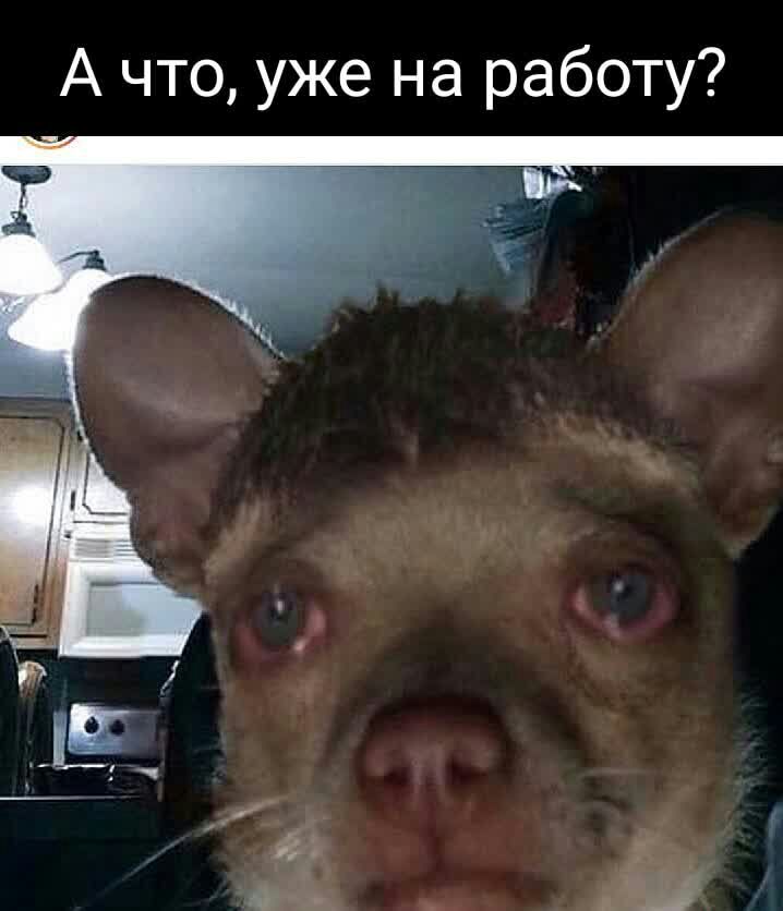 А что уже на работу