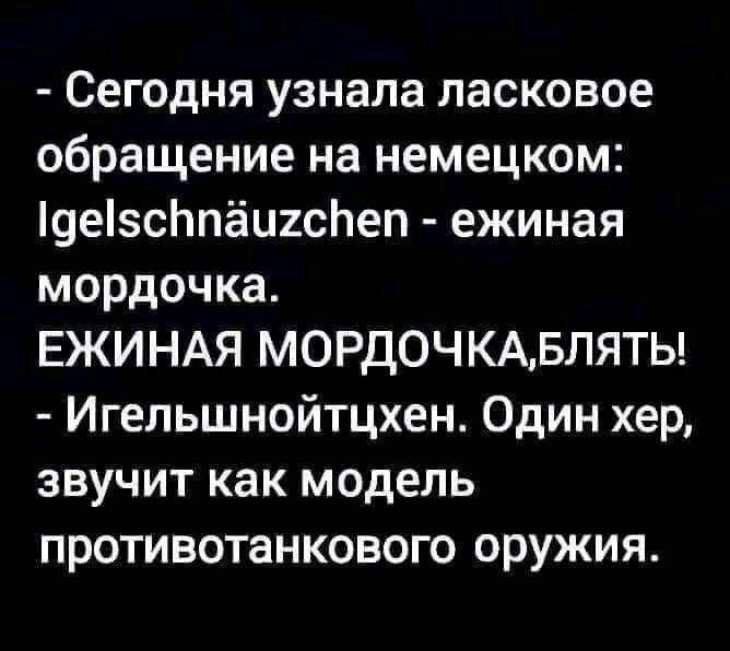 Сегодня узнала ласковое обращение на немецком 9есЬпёи2сЬеп ежиная мордочка ЕЖИНАЯ МОРДОЧКАБЛЯТЬ Игельшнойтцхен Один хер звучит как модель противотанкового оружия