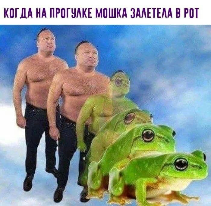 КОГДА ИА ПРПГНАКЕ МПШКА ЗМЕТЕМ В РПТ