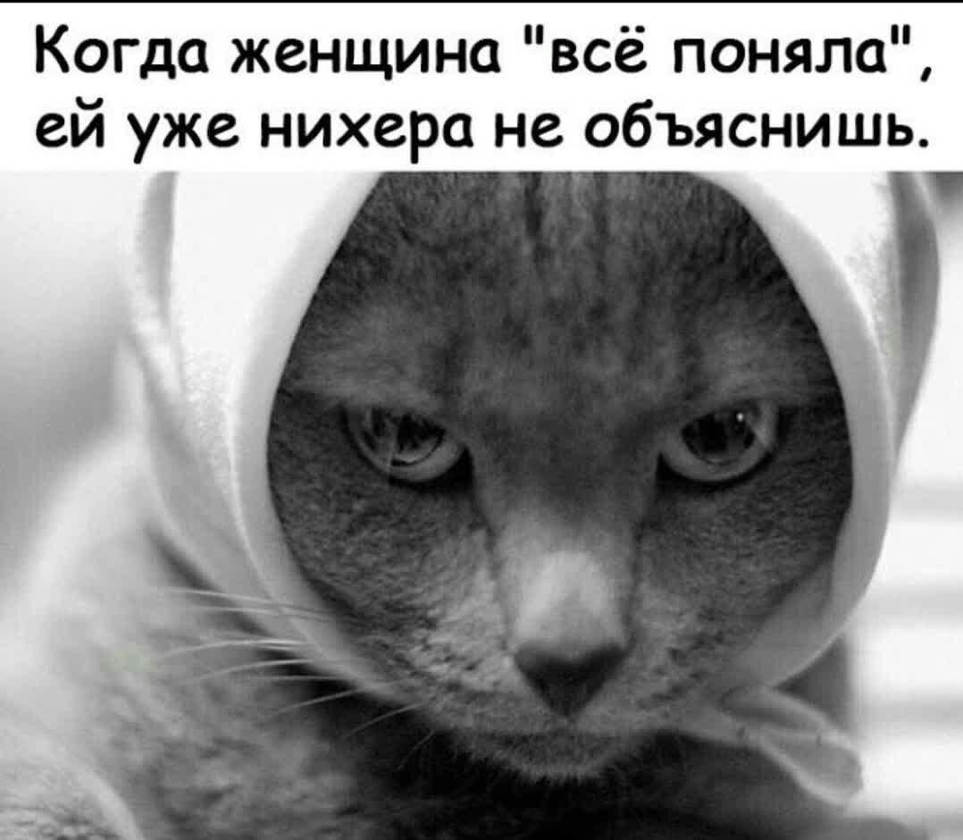 Когда женщина всё поняла ей уже нихера не объяснишь