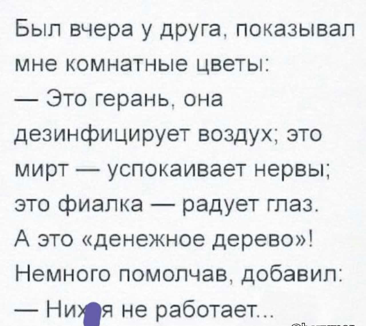 Был вчера у друга показывал мне комнатные цветы Это герань она дезинфицирует воздух это мирт успокаивает нервы это фиалка радует глаз А это денежное дерево Немного помолчав добавил Ния не работает