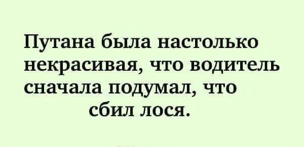 Путана была настолько некрасивая что водитель сначала подумал что сбил лося