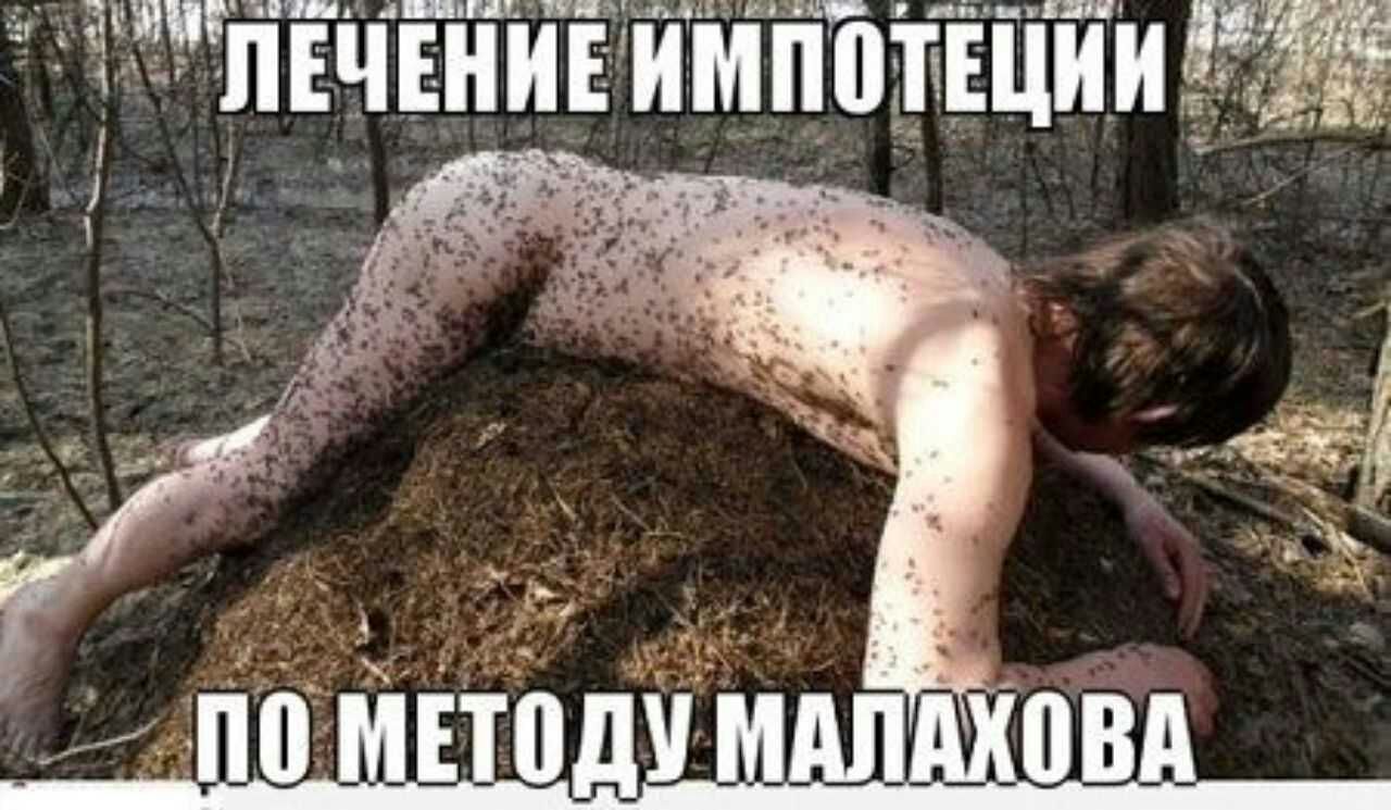 ЁПЕЧЕНИЕИМПВТЕШИ
