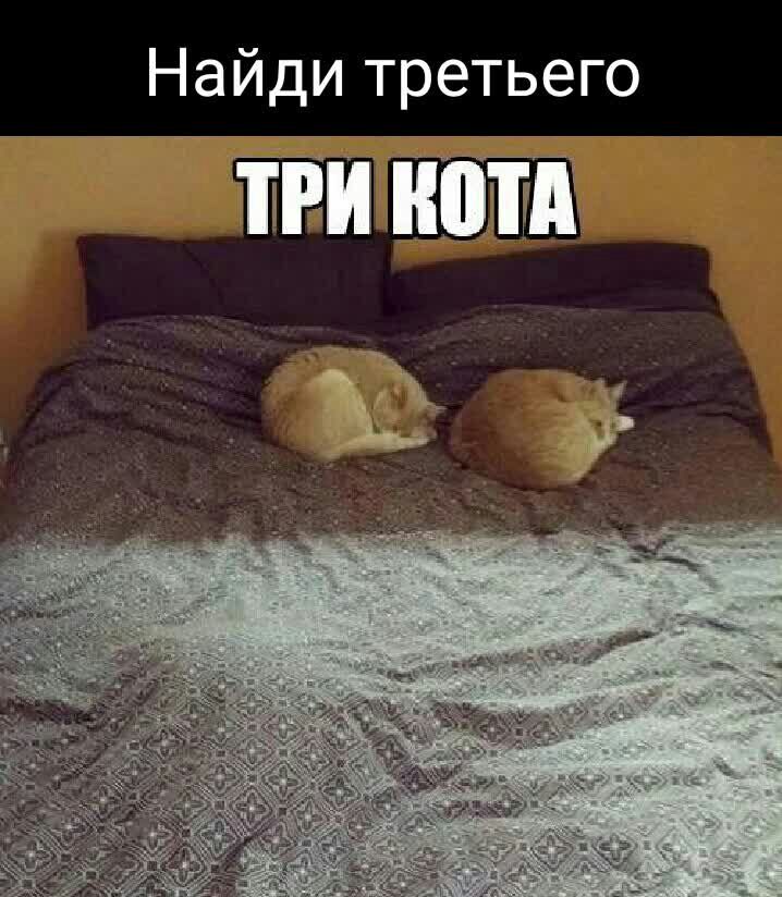 Найди третьего ТРИ ШШ