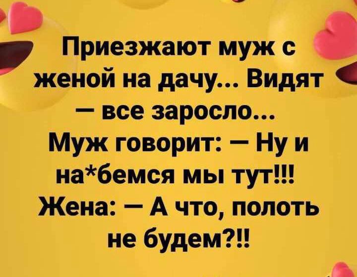 Приезжают муж с Женой на дачу Видят все заросло Муж говорит Ну и набемся мы тут Жена_ А что пбпоть не будем