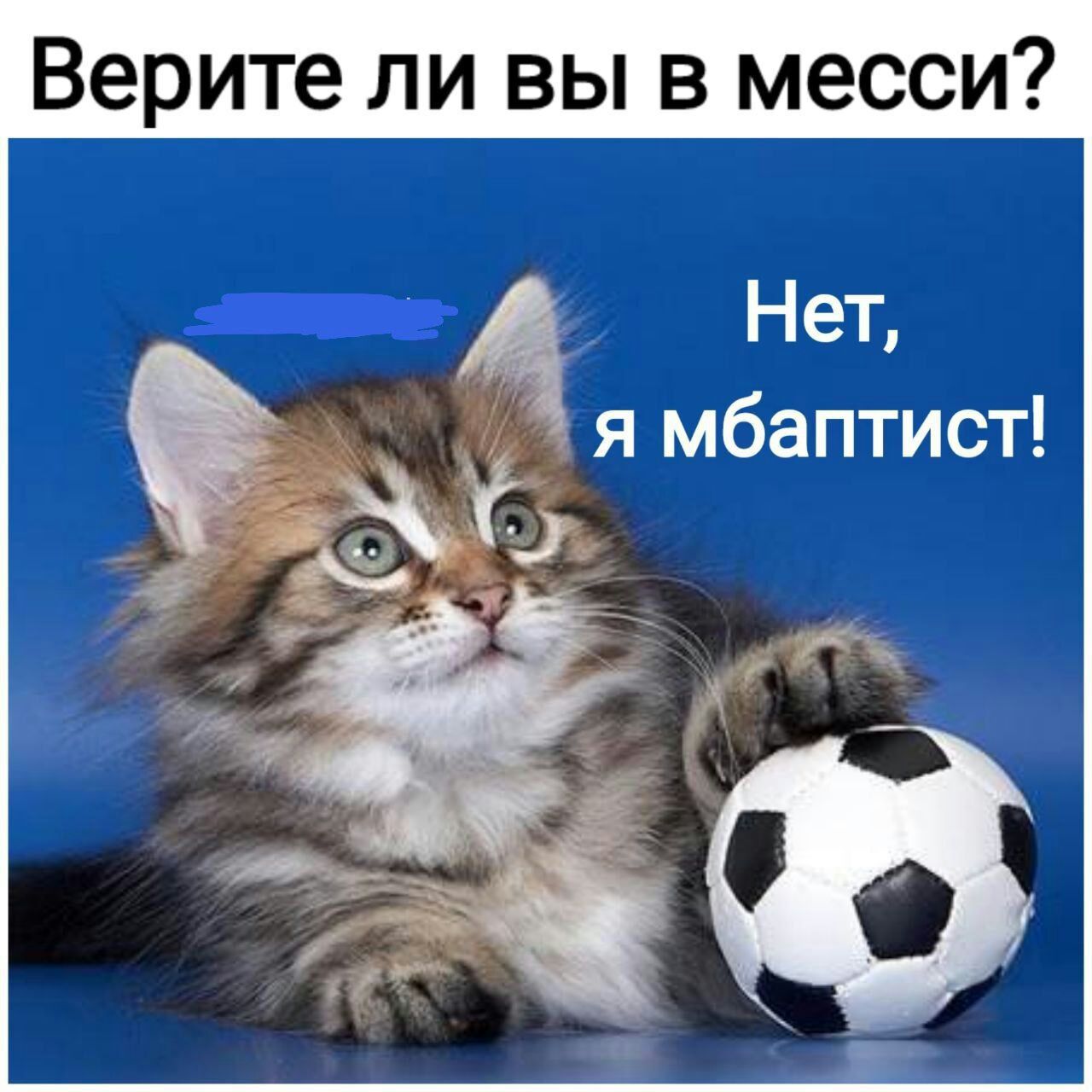 Мяч с котенком