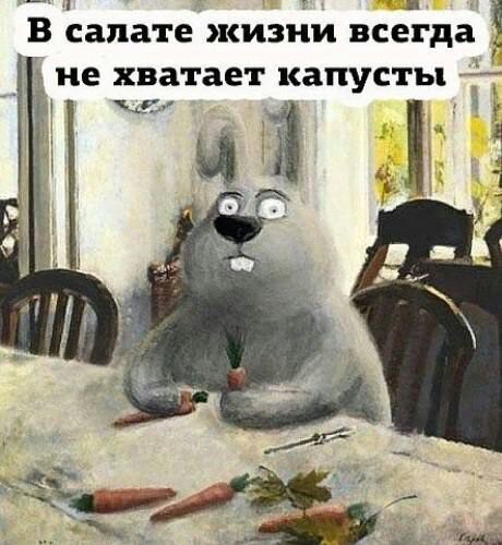_ г и В сапате жизни всегда не хватает капусты 1
